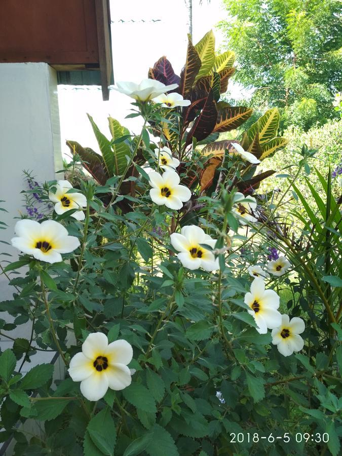 Cnunk Bungalow Bed & Breakfast Gili Meno Exterior photo